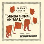 Parquet-Courts-Sunbathing-Animal-608x608.jpg