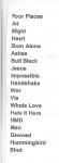 Wilco BUM setlist 3.jpg